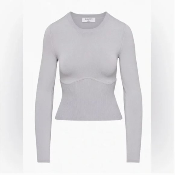 Aritzia Babaton Gray Sculpt Knit Empire Long Sleeve Top Size XS - Picture 4 of 11